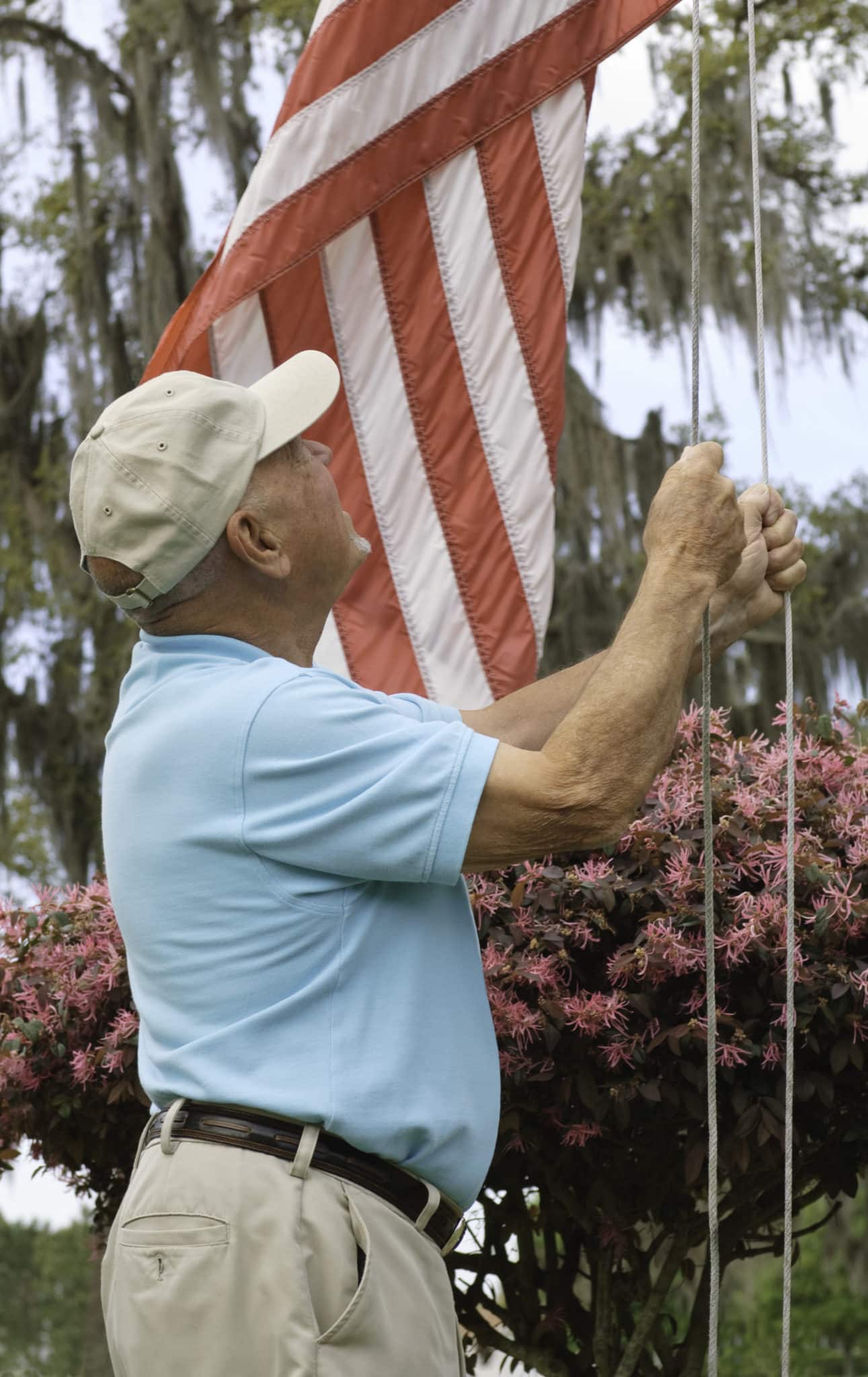 5 Great Ways to Honor Veteran’s Day!
