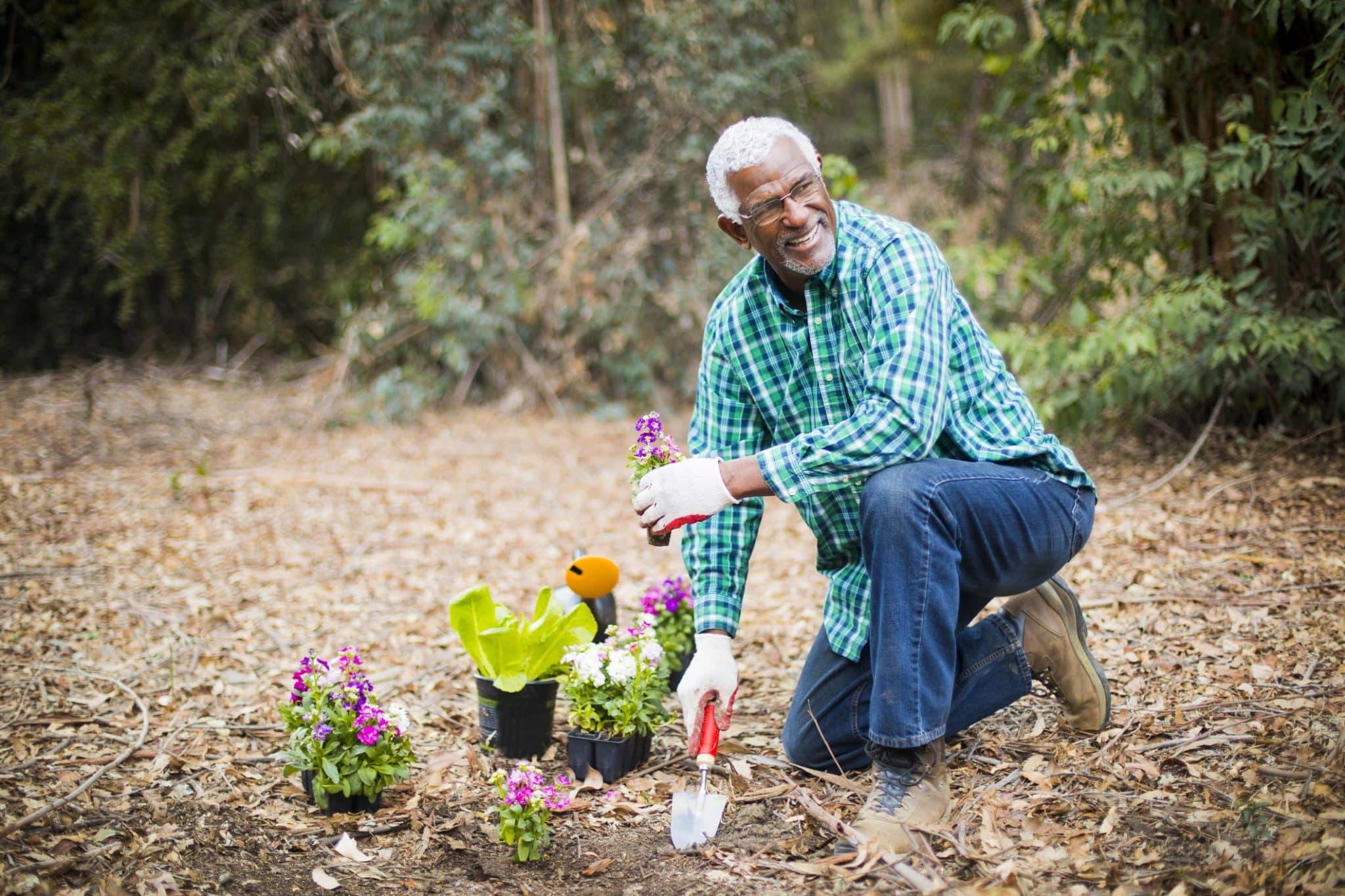 Gardening: Your New Favorite Pastime