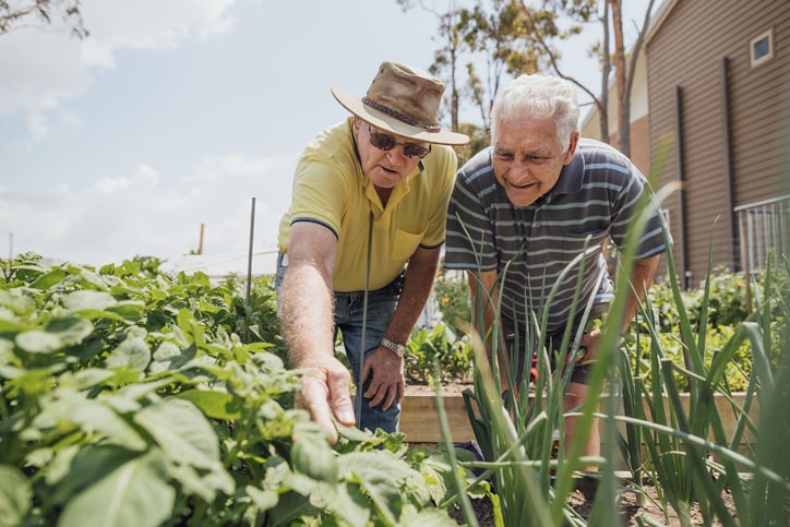 5 Activities to Keep Independent Seniors Engaged