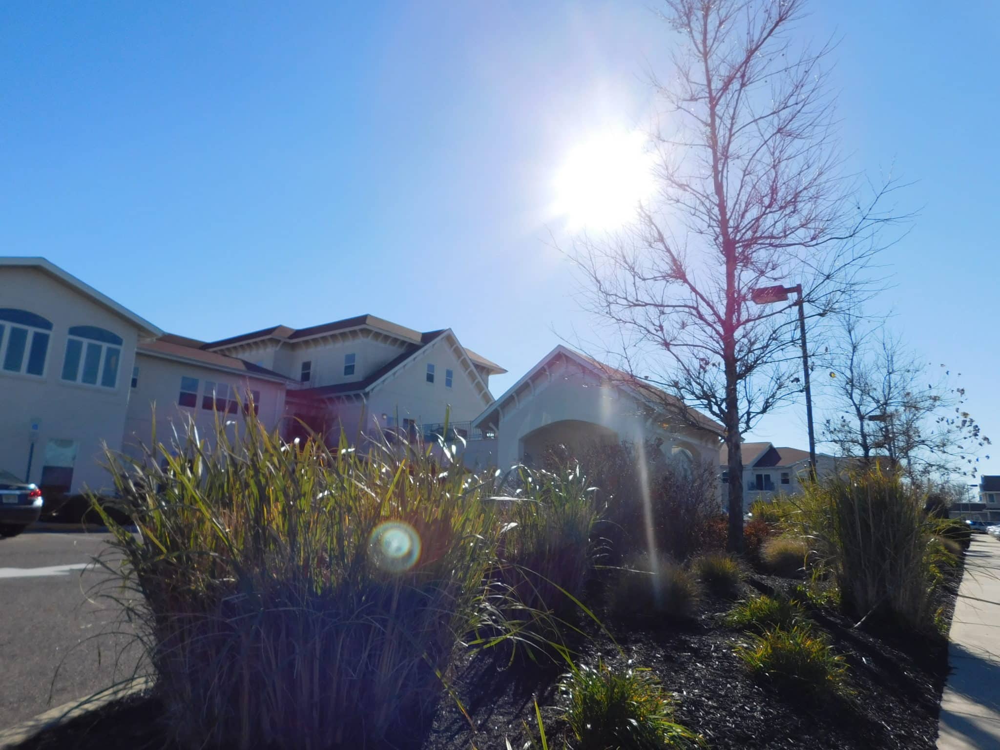 The Gold Standard Shines