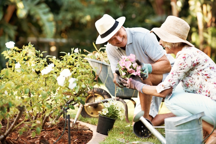 5 Safety Tips for Seniors Who Garden