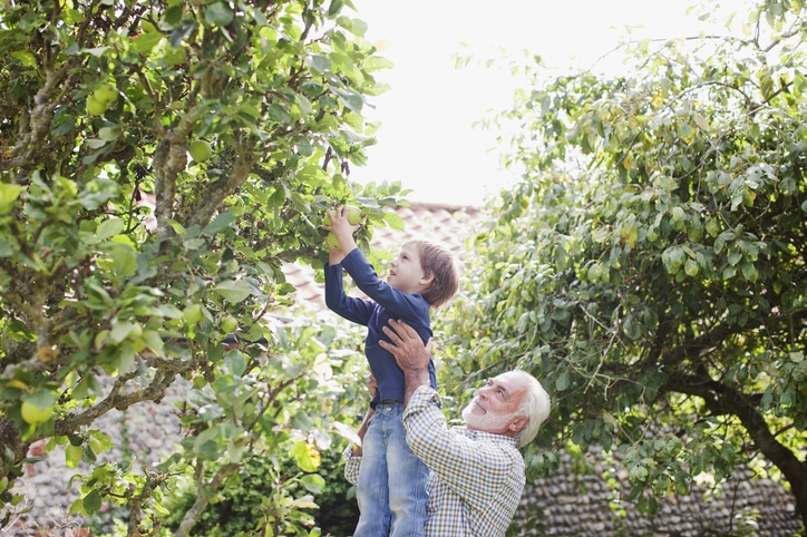 5 Fall Activities for Seniors and Their Families