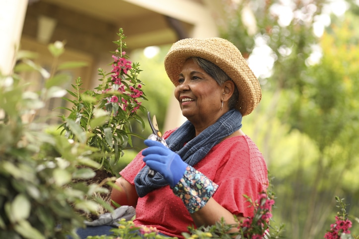 Senior Activities: Why Gardening is Great and Tips to Get Started