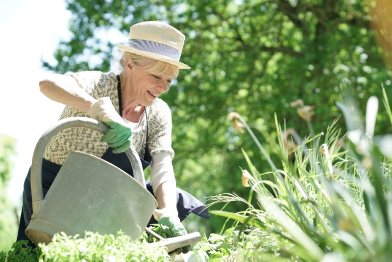 Benefits of Gardening for Seniors